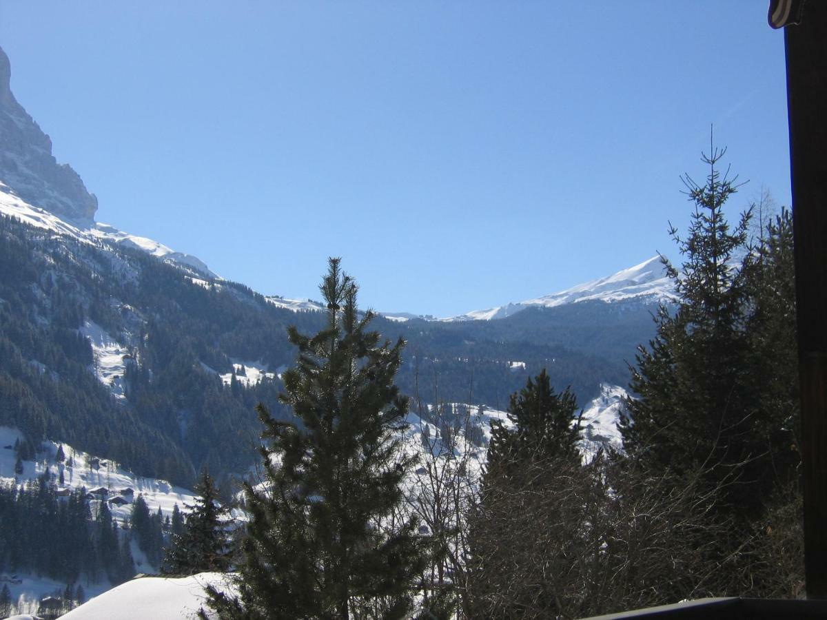 Casa Almis, Grindelwald Apartamento Exterior foto